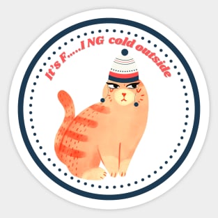 It’s F…ing Cold Outside. Sticker